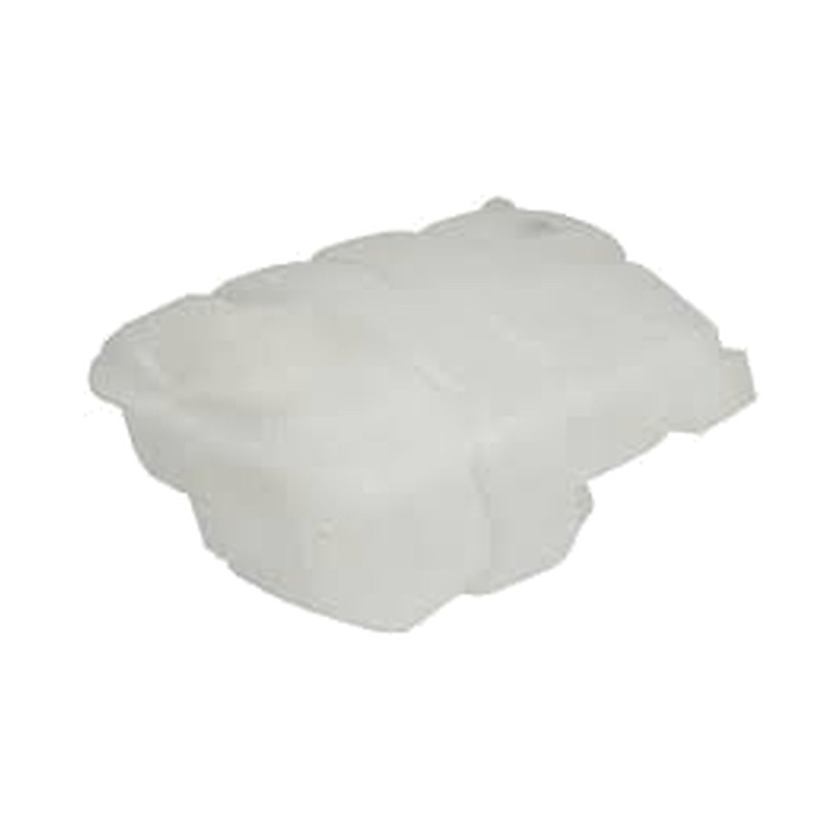 CV61-8K218-BC Coolant Expansion Tank for FORD
